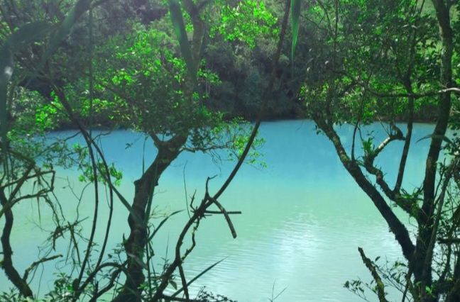 IMG_20220627_014452_675